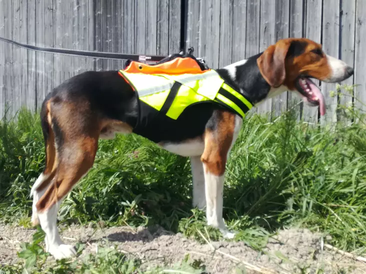 Kardog Jehu schwimmende GPS-Sicherheitsweste - Hundeausrüstung - 20150588888 - 1