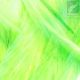 Chartreuse - Natürliche Fliegenmaterialien - 762820005558 - 1