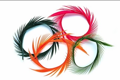 Wapsi, Gänse-Biots - Natürliche Fliegenmaterialien - 053526044058 - 1