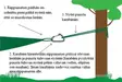 DMM Karabiner, DD Hammocks - Zelte, Schlafmatten und Hängematten - 4030454000479 - 2