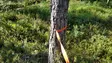 Kardog IITA, Leine, Orange - Hundeausrüstung - 6430067783129 - 2