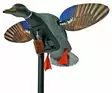Mojo Roboschwan, Mini Mallard Drake - Lockbilder - 0816740004099 - 1