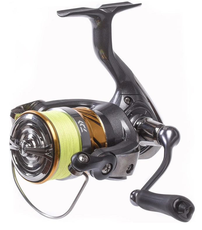 Daiwa Laguna LT 3000-C, offene Rolle mit Schnur - Baitcastingrollen - 043178617779 - 1