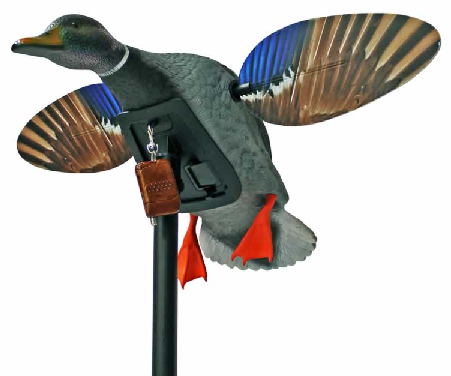 Mojo Roboschwan, Mini Mallard Drake - Lockbilder - 0816740004099 - 1