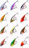 K.P XO Barsch 50mm 6,2g Schwimmend - Jerkbaits - KPXOP50F - 1