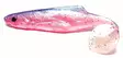 Orka Shad 18 cm Jig, 1 Stück - Jigs und Shads - 2020-S - 7